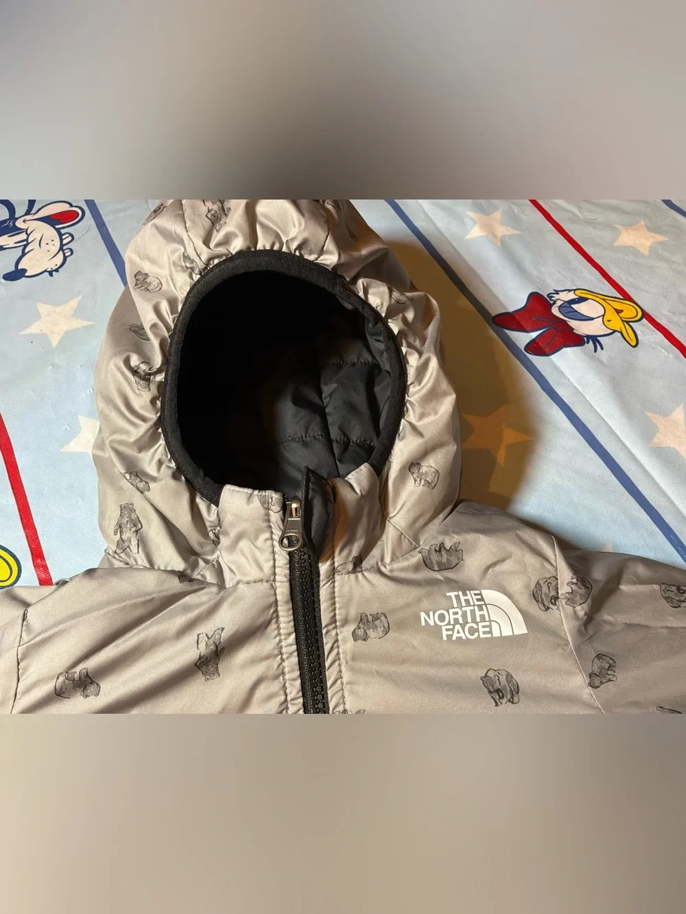 The North Face north face